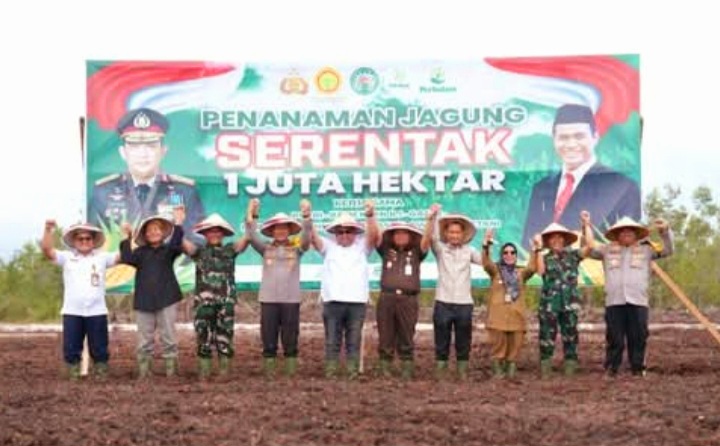 DPRD Kalteng Dukung Program Penanaman Jagung Serentak Sejuta Hektar