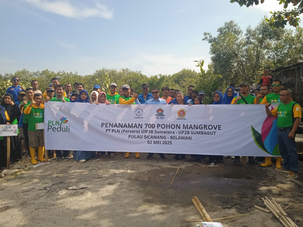 PT PLN (Persero) Bersama HNSI Dan Relawan Wak Young Tanam Pohon Mangrove