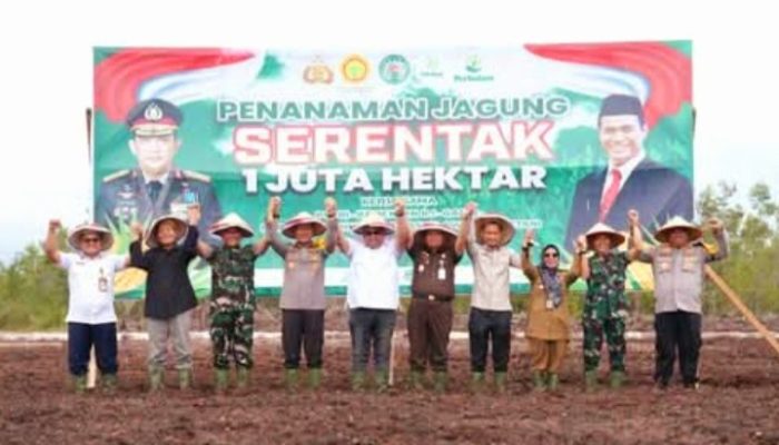 DPRD Kalteng Dukung Program Penanaman Jagung Serentak Sejuta Hektar