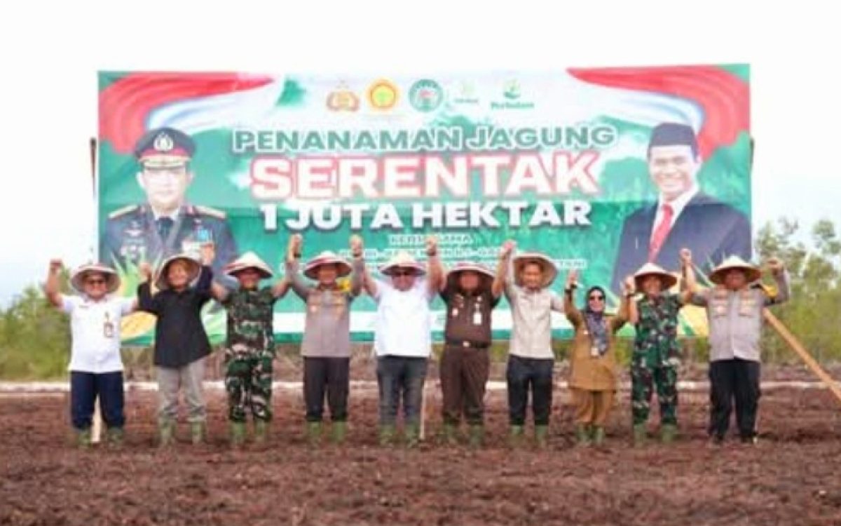 DPRD Kalteng Dukung Program Penanaman Jagung Serentak Sejuta Hektar