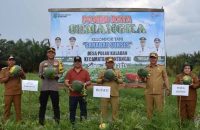 Hadiri Panen Raya Semangka, Yohanes Sampaikan DPRD Kapuas Akan Terus Dukung Program-Program Pertanian