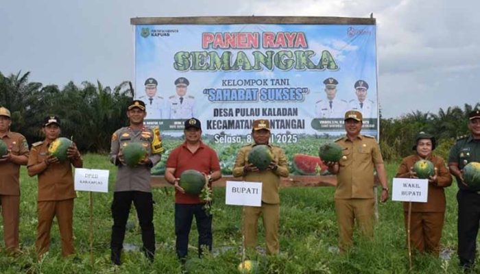 Hadiri Panen Raya Semangka, Yohanes Sampaikan DPRD Kapuas Akan Terus Dukung Program-Program Pertanian