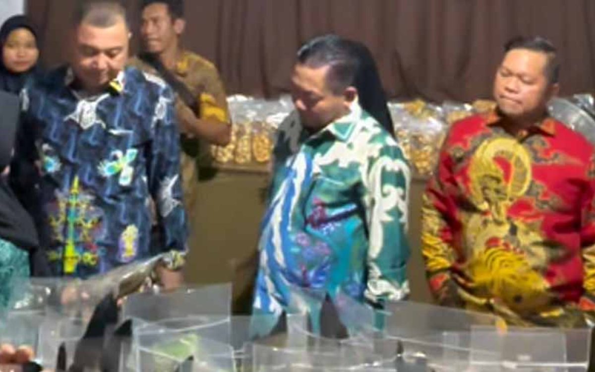 Pelaksanaan EXPO Kapuas Bersinar 2025 Mendapat Dukungan Wakil Ketua I DPRD Yohanes