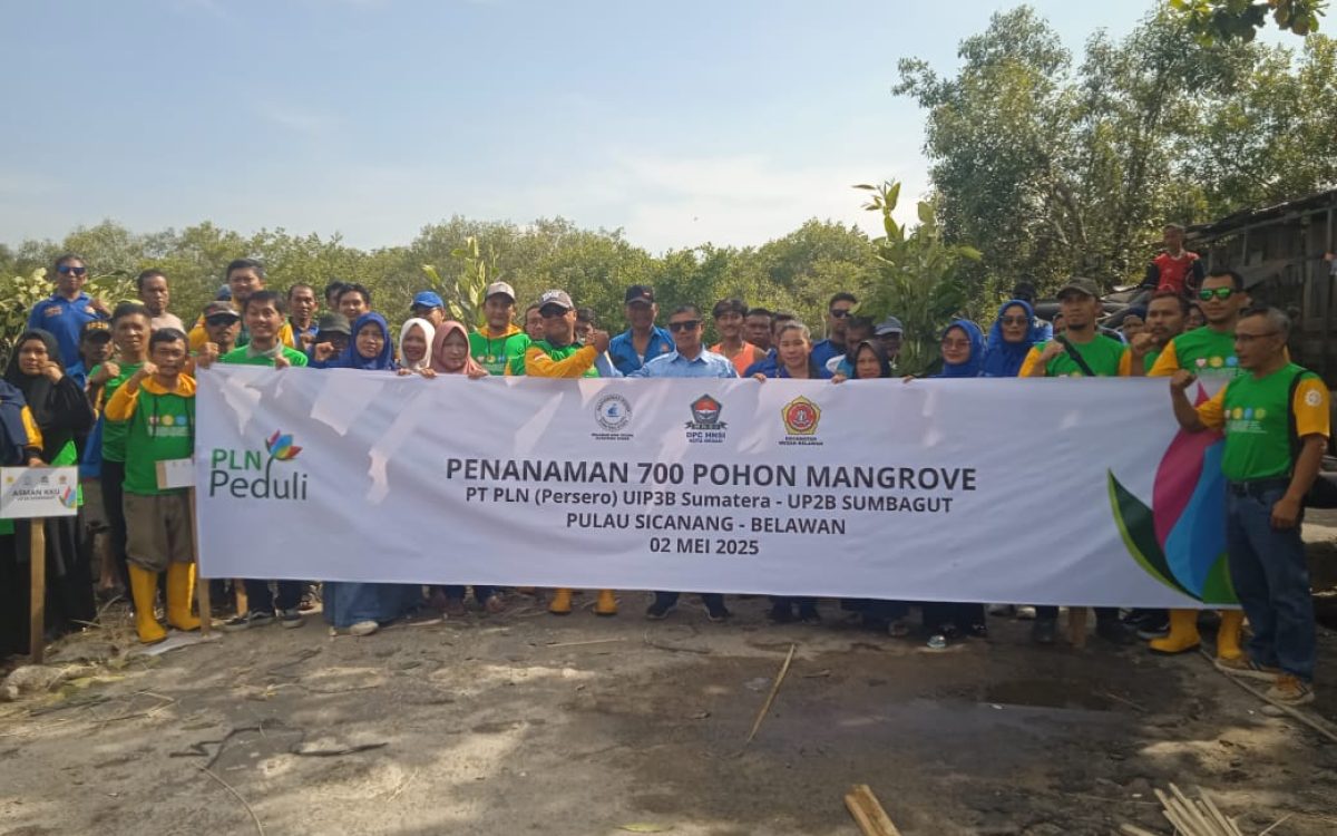 PT PLN (Persero) Bersama HNSI Dan Relawan Wak Young Tanam Pohon Mangrove